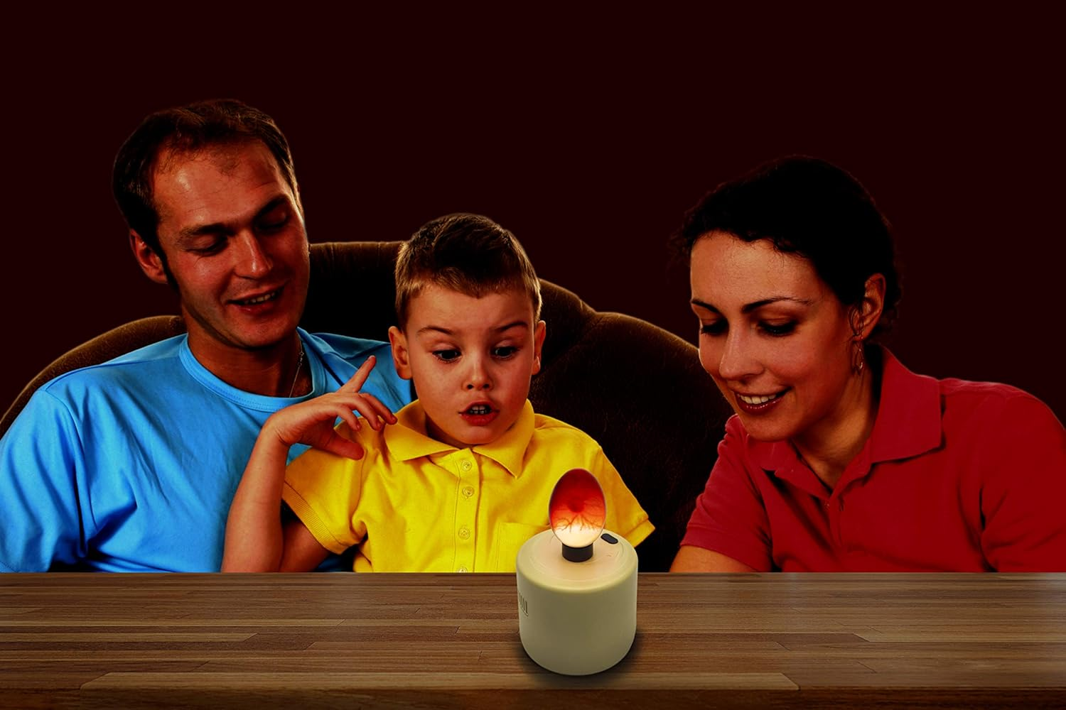 Standard Chicken Egg Candler/Egg Test - Battery Powered