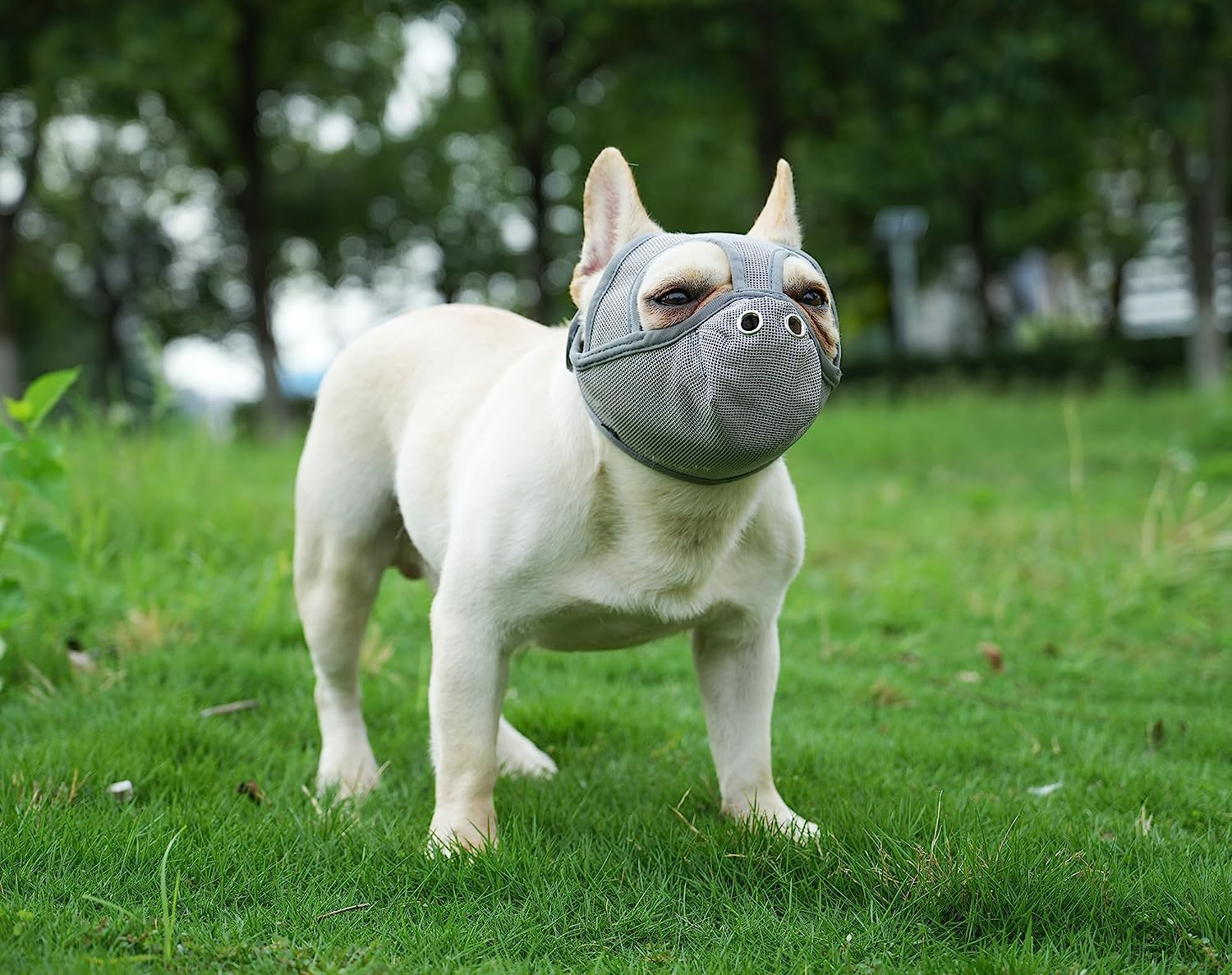 Short Snout Dog Muzzle - Adjustable Breathable Mesh for Bulldogs, Anti-Biting and Training, Can Stick Out Tongue and Drink Water (S 15.3"-16.1", Grey) image number 6