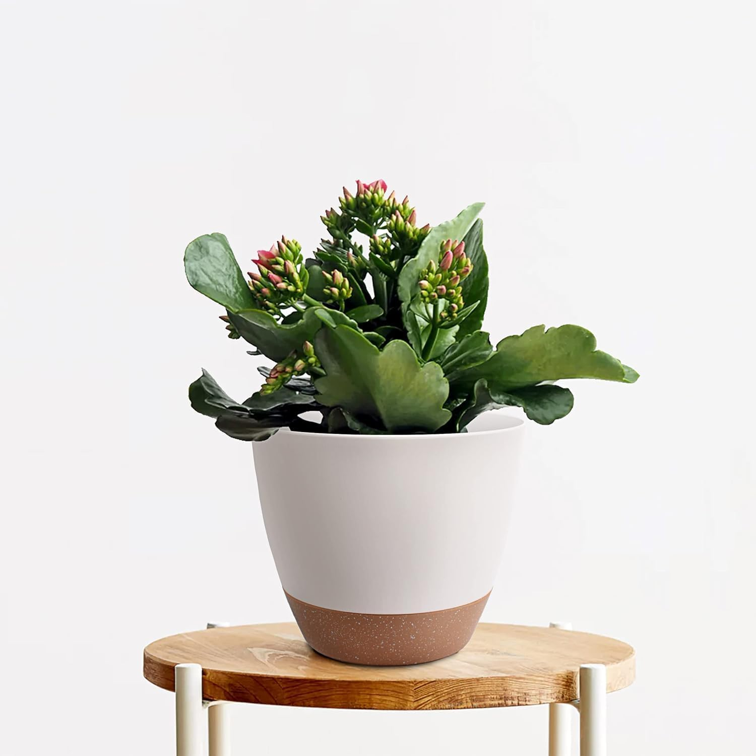 Set of 3 Plant Pots, 20CM, Self-Watering Flower Pots for Indoor and Outdoor Use, Planters with Drainage Hole and Saucer Reservoir, White