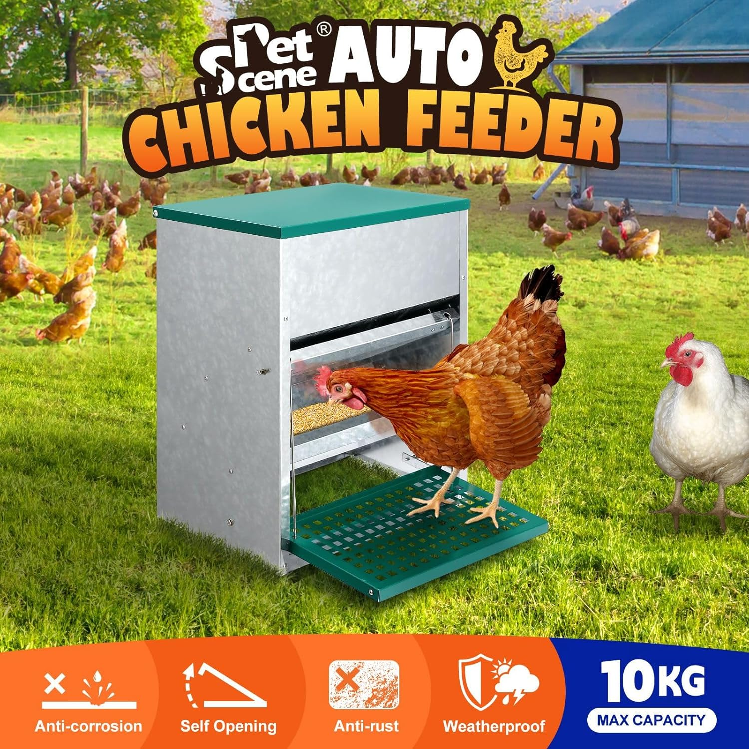 Auto Chicken Feeder 10Kg Automatic Treadle Poultry Chook Rat Proof Food Dispenser Feeding Equipment Galvanized Steel image number 3