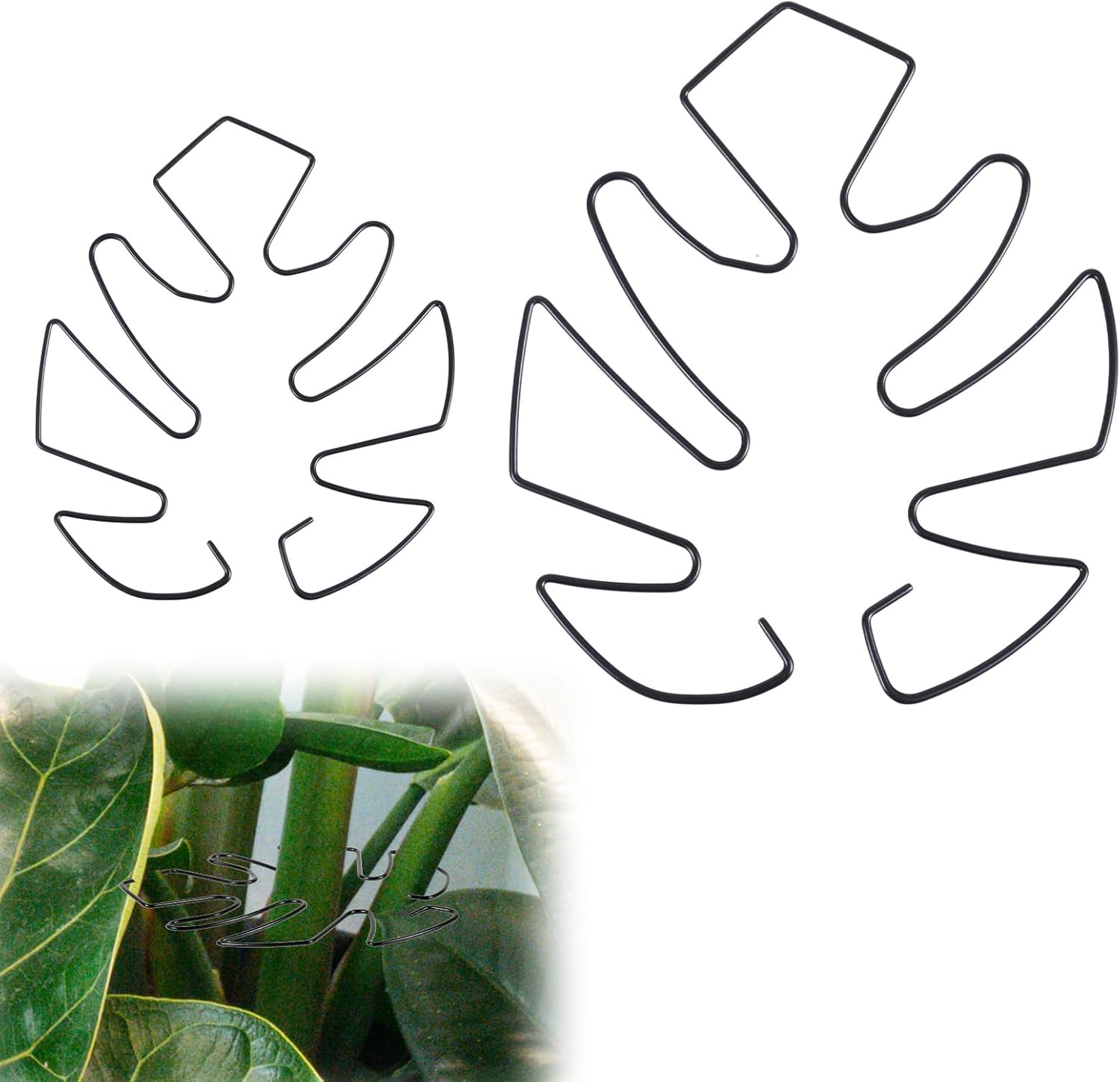 BOXOB Pack of 2 Plant Supports for Monstera Leaves, 2 Sizes Hooks to Support Climbing Plant Stems, Ideal Plant Support Monstera for Thriving Plant Growth (Black)