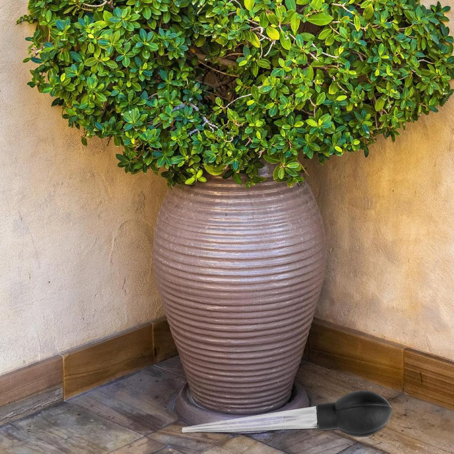 Outanaya Plant Tray Water Absorber Saucer Water Remover Gardening Tool for Flower Pot Accessories Large Size Rubber Base for Indoor and Outdoor Use image number 4