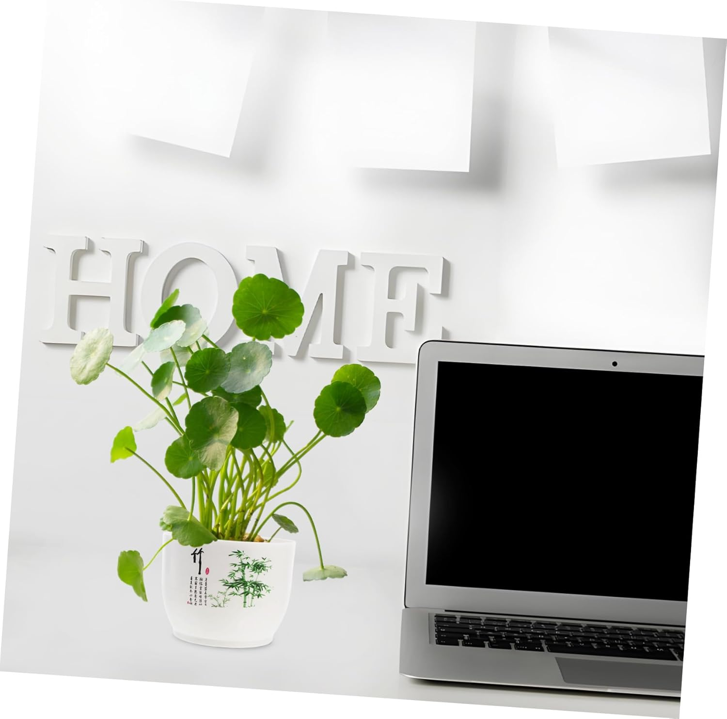 Sosoport 2Pcs Hydroponic Planter Bowl Home Gardening Pot Plastic Daffodil Pot for Indoor Outdoor Use - Green image number 6