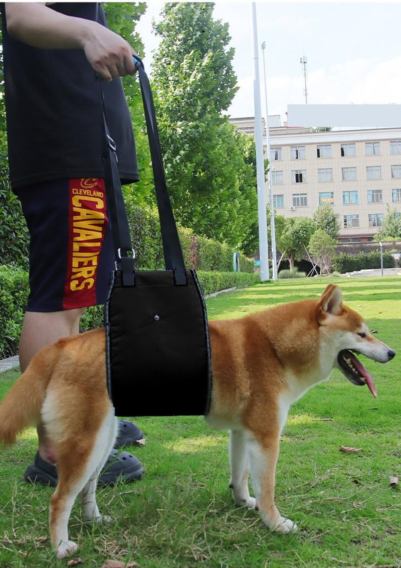 Dog Lift Support Harness with Handle for Older or Injured Canines - Adjustable Strap for Weak Hind Legs, Mobility Aid, Back Sling (Black, L) image number 1