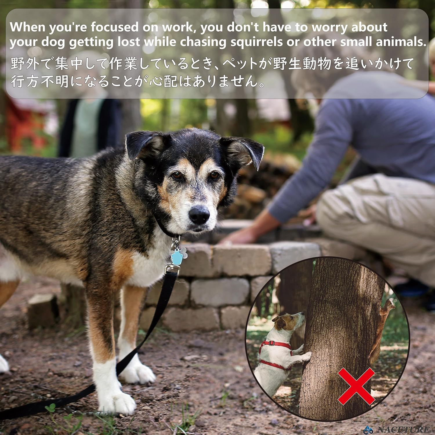 Stainless Steel Dog Tie Out Stake - Heavy Duty Anchor for Outside, Yard, Camping - Free Swivel for Small Dogs up to 20 Lbs (12 Inch) image number 5