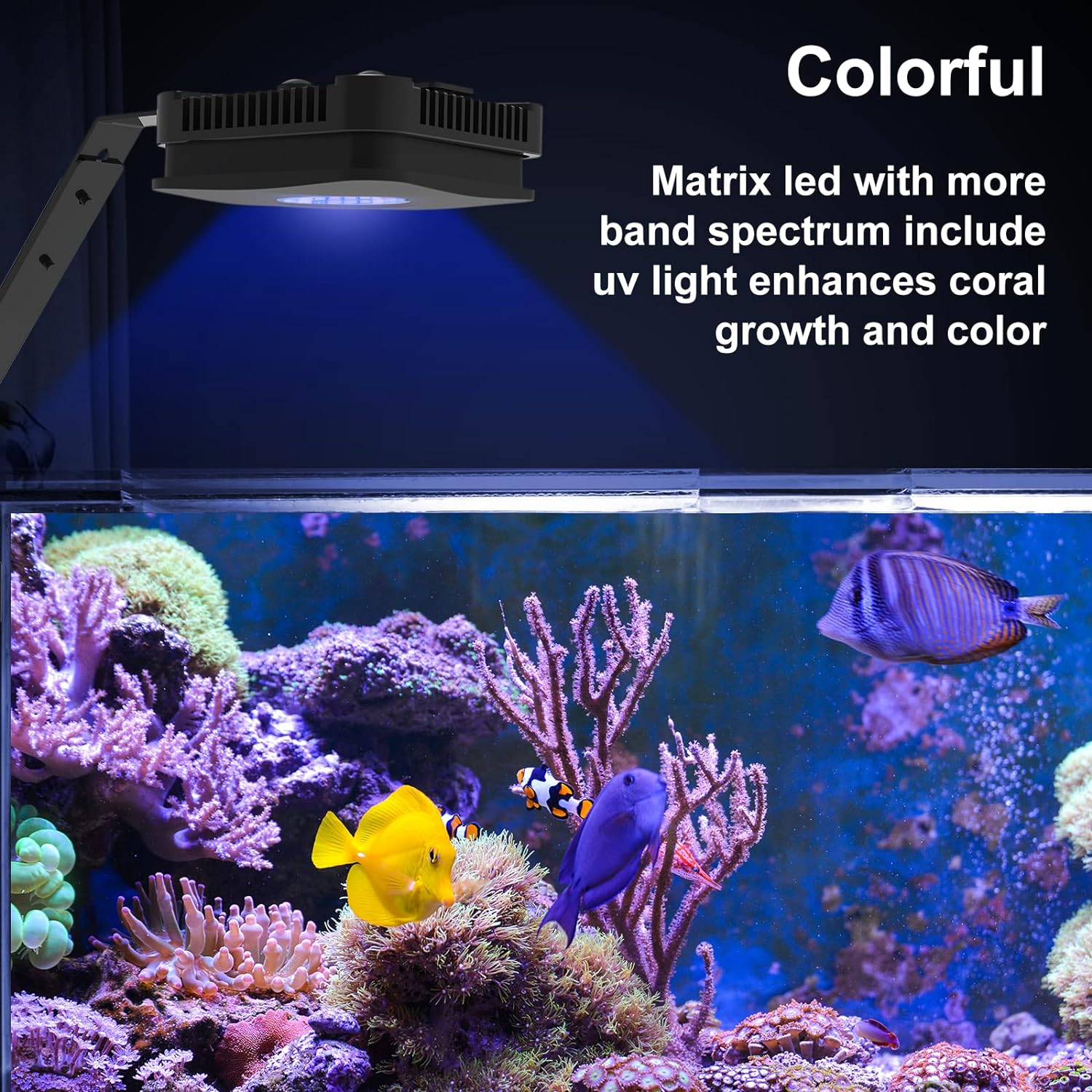 Lominie Marine Aquarium Light, 30W Nano Fish Light with RF Remote Control for 45-60Cm Marine Aquarium (P30,Saltwater) image number 3