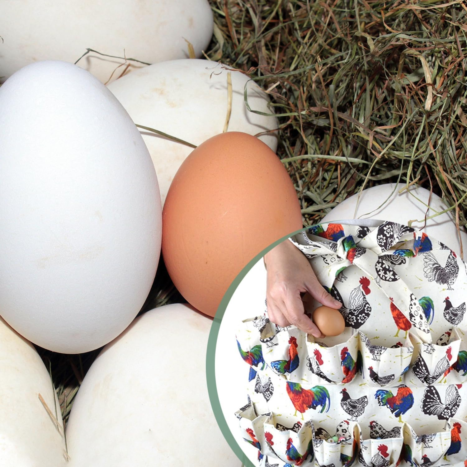 Egg Apron for Collecting Eggs Durable Canvas Chicken, Duck & Goose Egg Collection Apron for Home Use Ideal for Farmhouse Kitchens, Restaurant Settings, and Family Activities image number 4