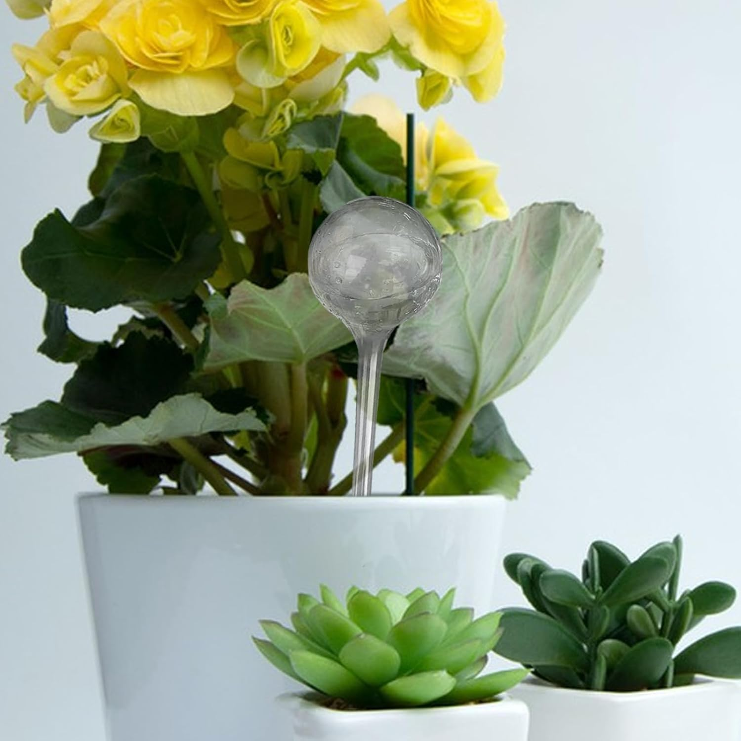 Watering Globes for Indoor Plants - Watering Clear Watering Bulb - Gardening Supplies, Multifunctional Decorative Irrigation Tools for Indoor Outdoor Garden Potted image number 3