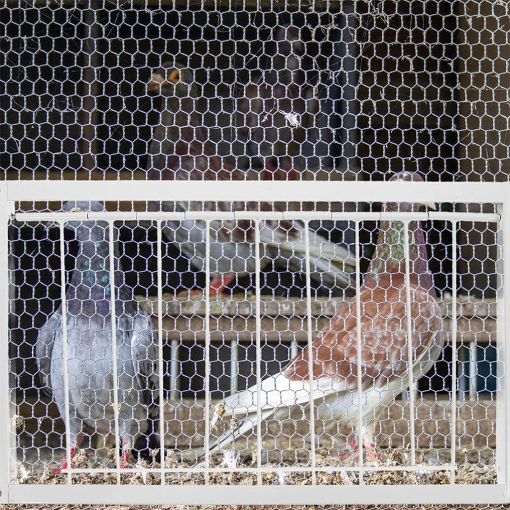 INOOMP Bird Cage Accessory - Stainless Steel Pigeon Entrance One-Way Door - Easy Installation Trap for Bird House - Replacement image number 2