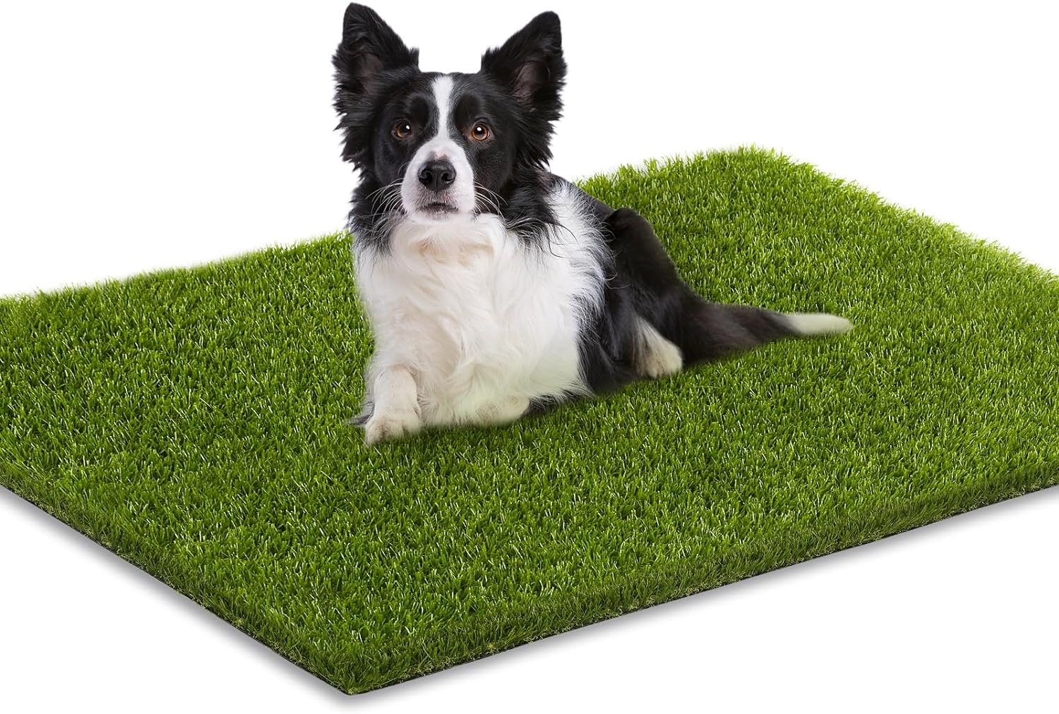 Artificial Grass, 36 X 24 Inches Fake Grass for Dogs, Reusable Dog Grass Pee Pads with Drainage Holes for Dog Potty Training Outdoor Indoor Door Mat Decoration image number 5