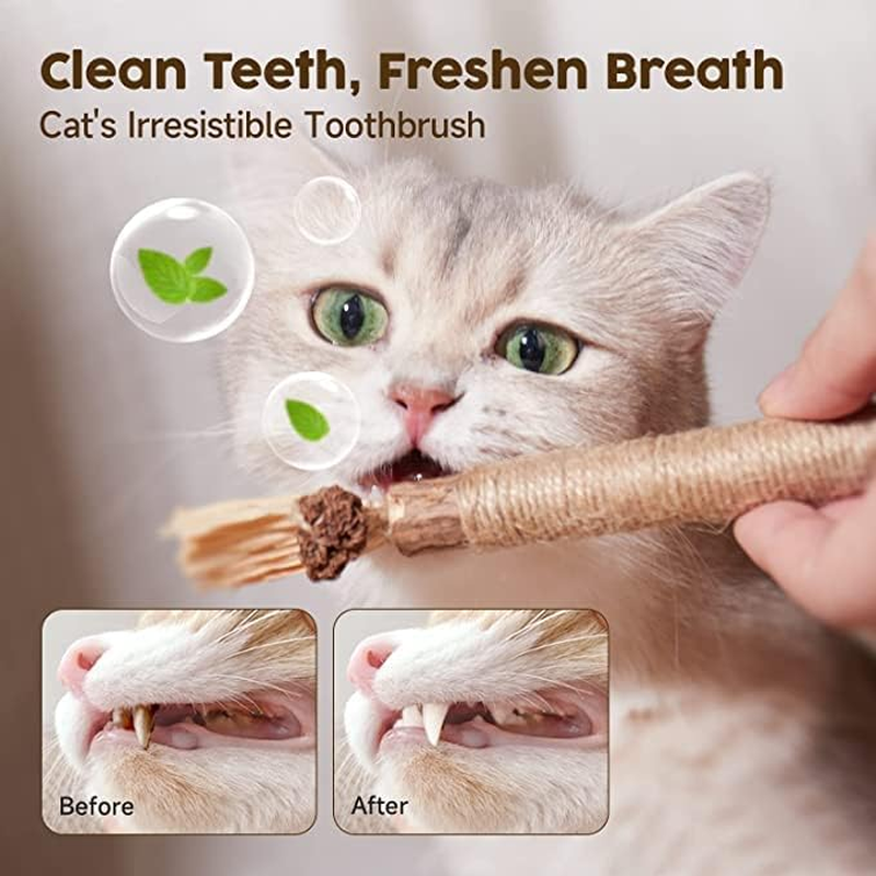 Catnip Toys 6 Pcs Silvervine Chew Stick Natural Silvervine Blend Sticks Cat Nips Interactive Kitten Dental Toy for Kittens Teeth Cleaning Indoor Cats image number 1