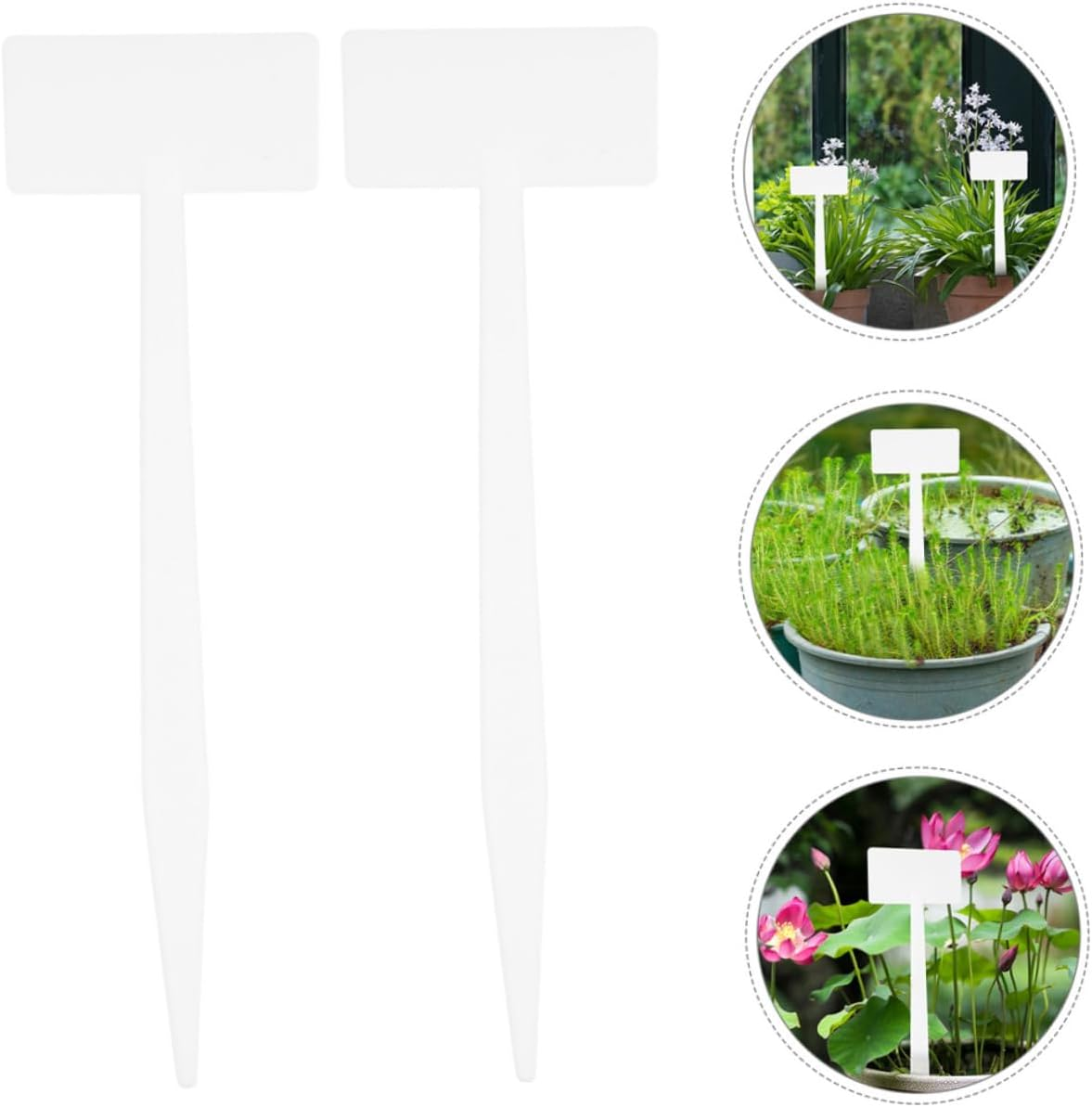10Pcs Plastic Plant Labels for Garden Decor Plant Tags Markers Name Tags Fun Garden Signage image number 5