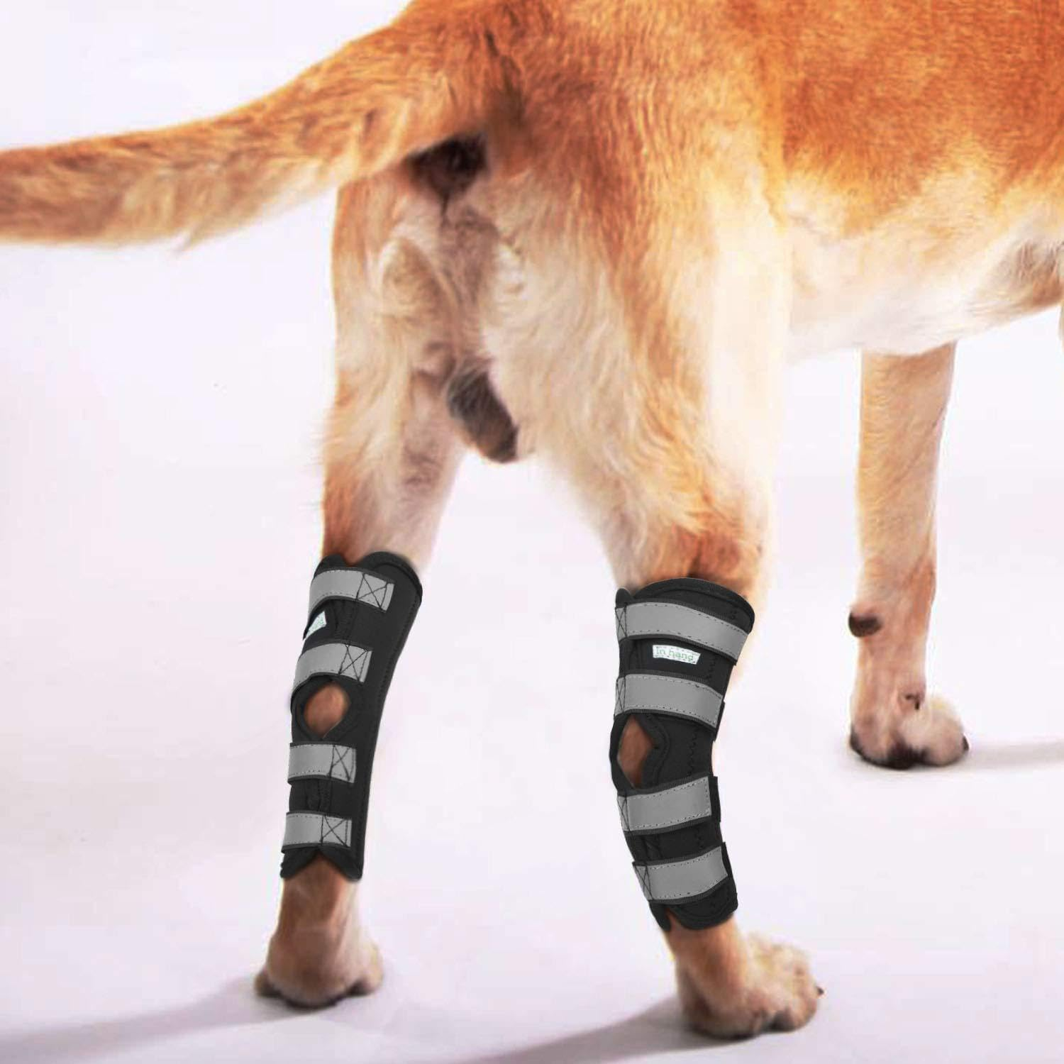 Dog Leg Braces for Back Leg,Dog Back Leg Support Brace with Dual Metal Strips,Dog Leg Brace with Reflective Straps,Dog Knee Brace for Luxating Patella (XL, Black) image number 1