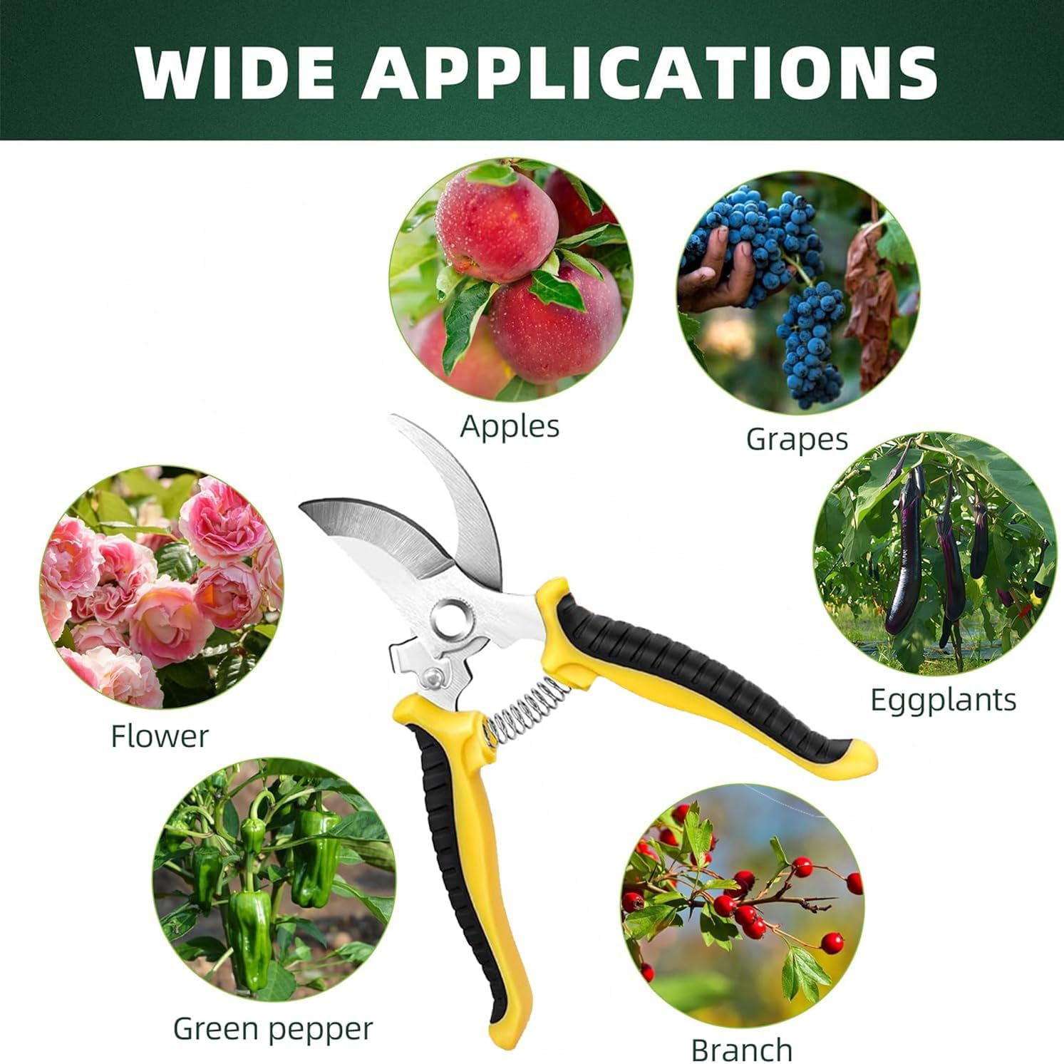 6 Pack Garden Pruning Shears,Hand Pruner Pruning Plant Shears with Gardening Gloves,Hydroponic Micro Garden Snip for Herb, Plant, Flower Cutting & Harvesting Small Tip Hand Pruning Shears image number 6