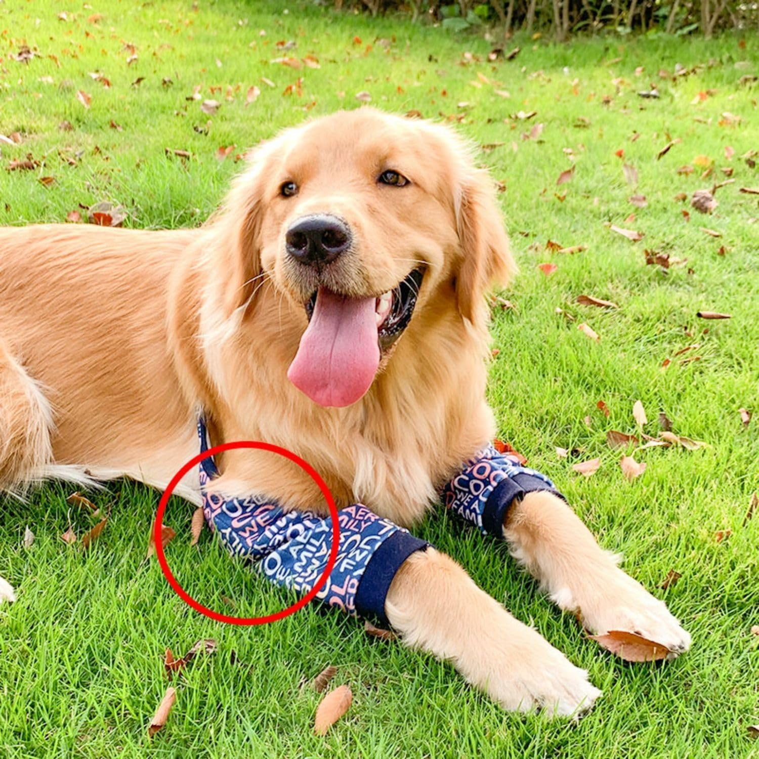 Dog Elbow Protector, Dog Leg Recovery Sleeve for Prevent Licking Wound, Joint Sleeves with Mesh Pad for Medium Large Dogs Thickened Letters (Blue, L) image number 3