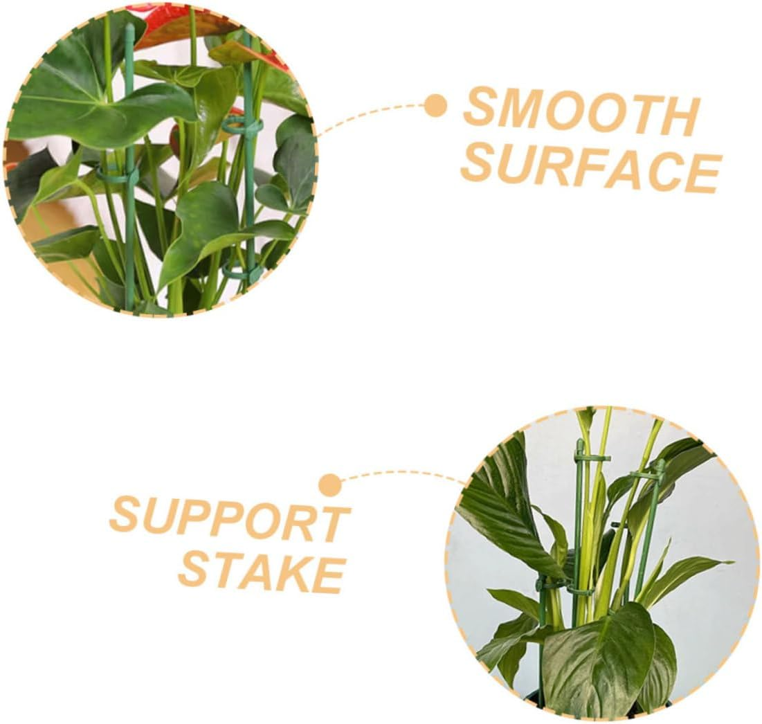 Yardenfun 12Sets Plant Support Stakes Single Stem Support for Flowers and Tomatoes Garden Supplies Garden Stake image number 6