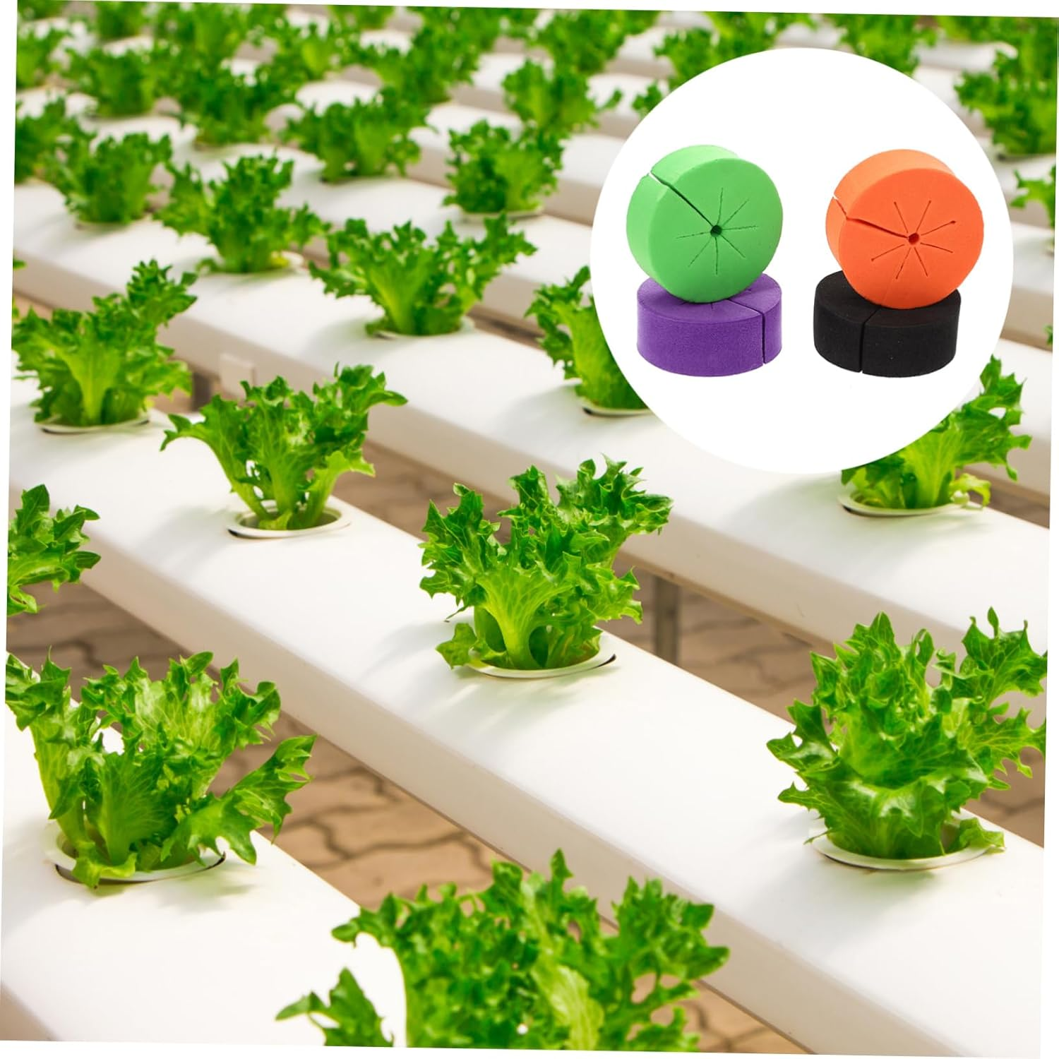 Kisangel 40Pcs Garden Plant Tools Colonial Cotton Eva Hydroponic Tools Soilless Planting Kit High-Yield Vegetable Growing image number 6