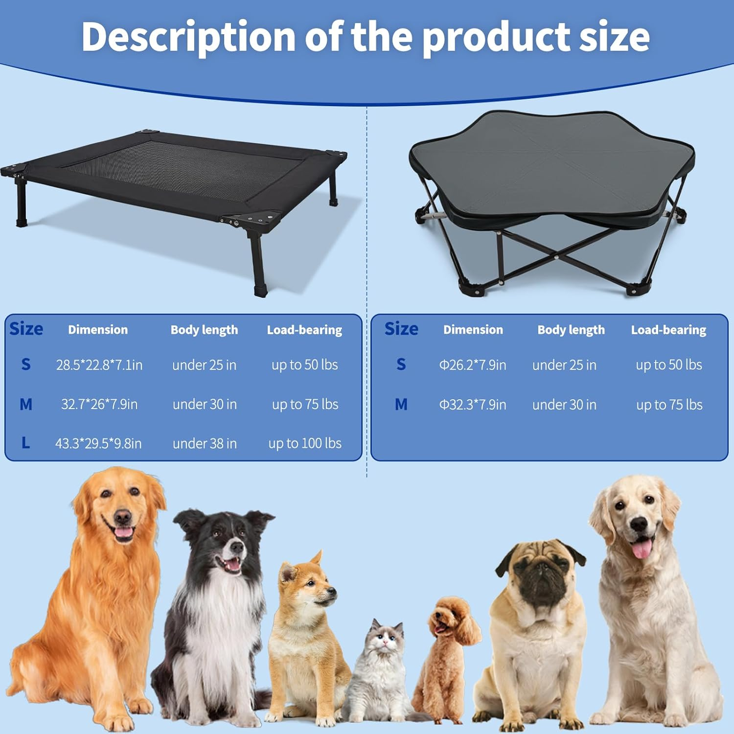 Elevated Dog Bed Foldable Raised Frame with Removable Cushion Portable Waterproof for Small Dogs Indoor Outdoor Camping Travel image number 6