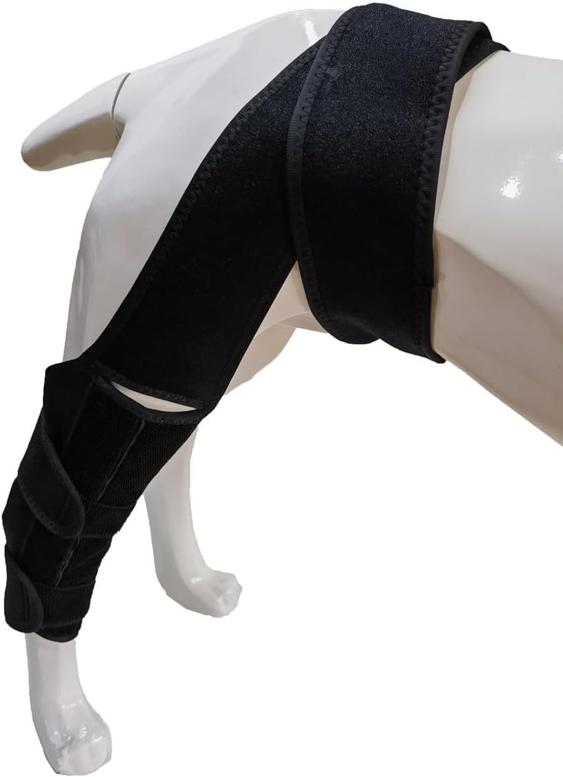 Dog Knee Brace for Torn ACL Hind Leg, Dog Leg Support with Metal Support, ACL Support for Dog Hind Leg Tear CCL, Arthritis, Knee Dislocation (M, Black) image number 6