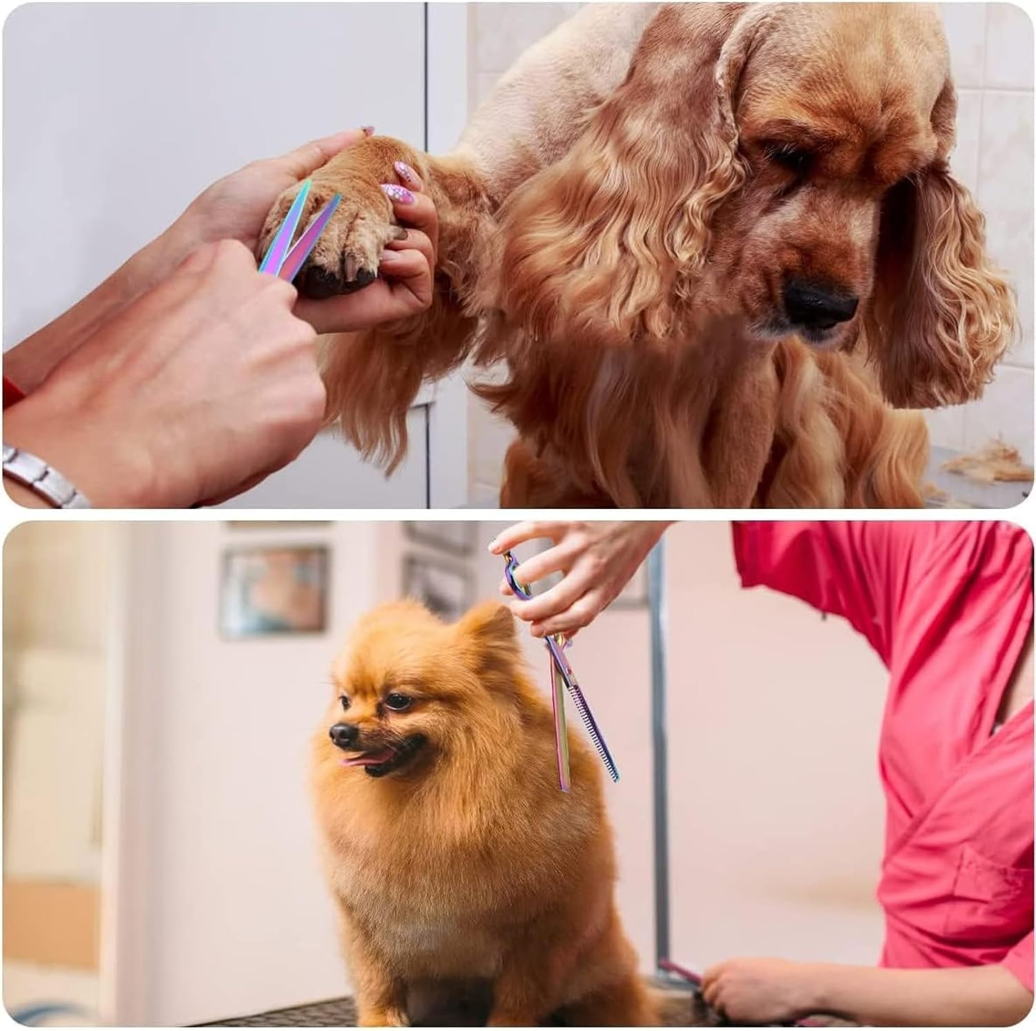 Visuivit Professional Dog Grooming Scissors Set 18Cm/7 Inch, 8 Piece Dog Grooming Shears - Dog Hair Trimming- 6CR Steel Pet Grooming Scissors Kit (Rainbow) - Blue1 image number 7