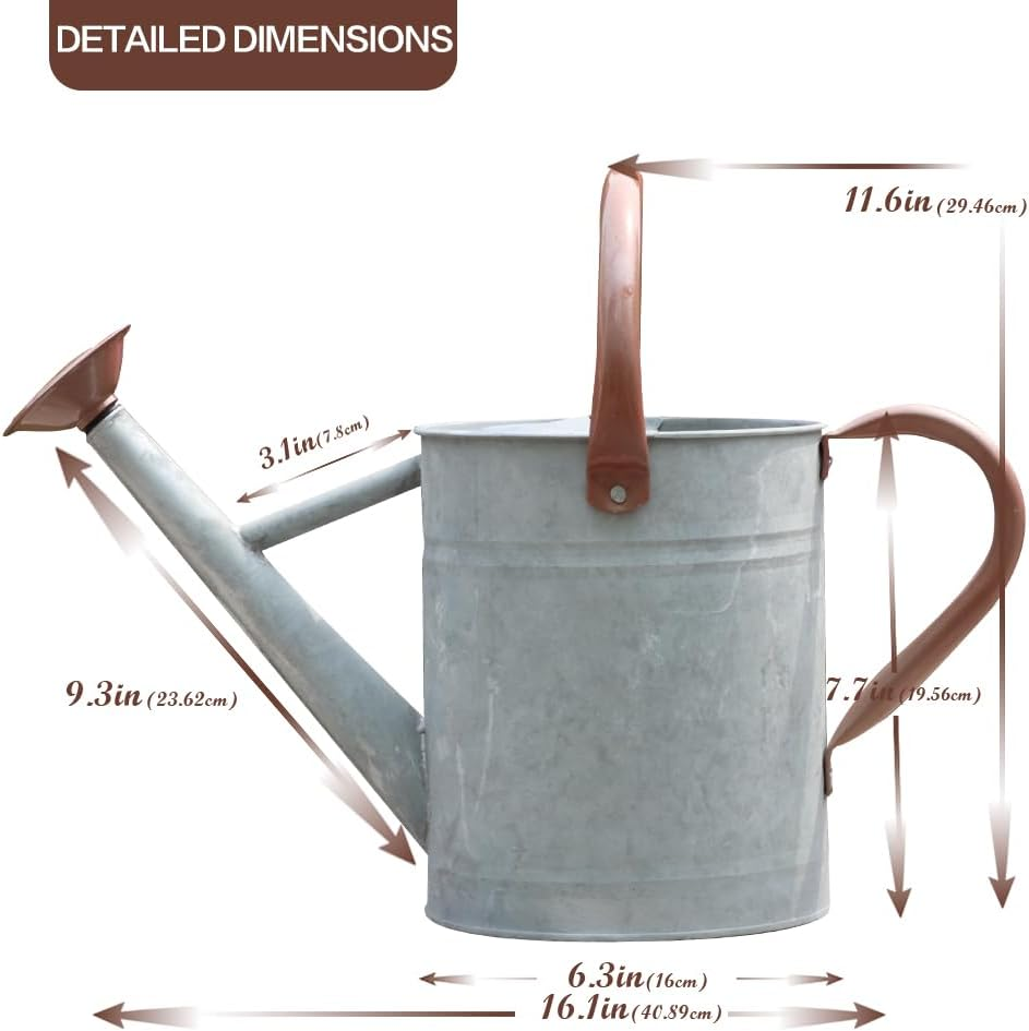 Steel Watering Can Sliver Galvanized Steel Watering Can with Copper Accents,Removable Rosette-Diffuser,One-Gallon