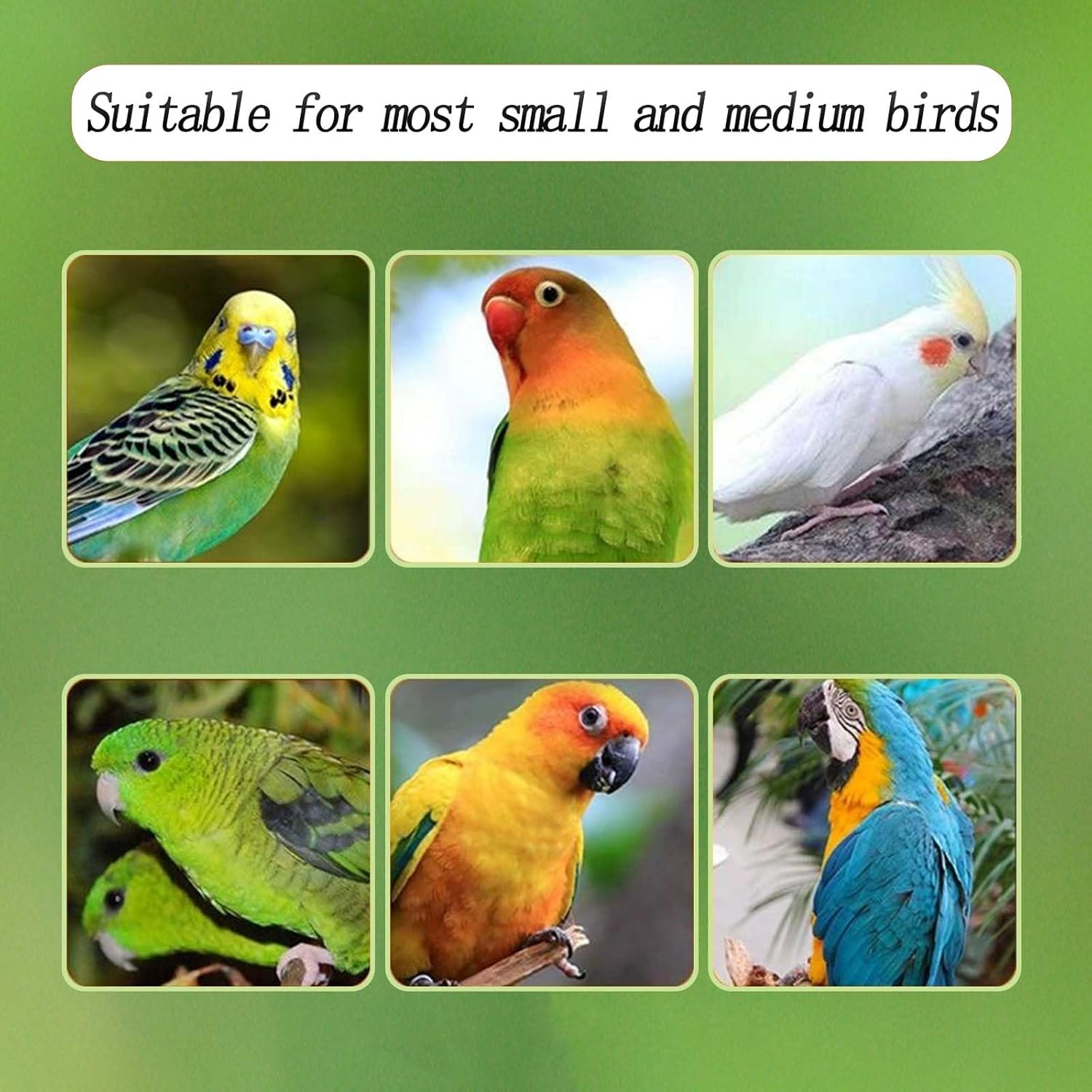 Automatic Acrylic Bird Feeder for Cage, No Mess - Small Bird Parrots, Canary, Parakeet, Budgerigar, Crested Myna, Cockatiel (XL) image number 1