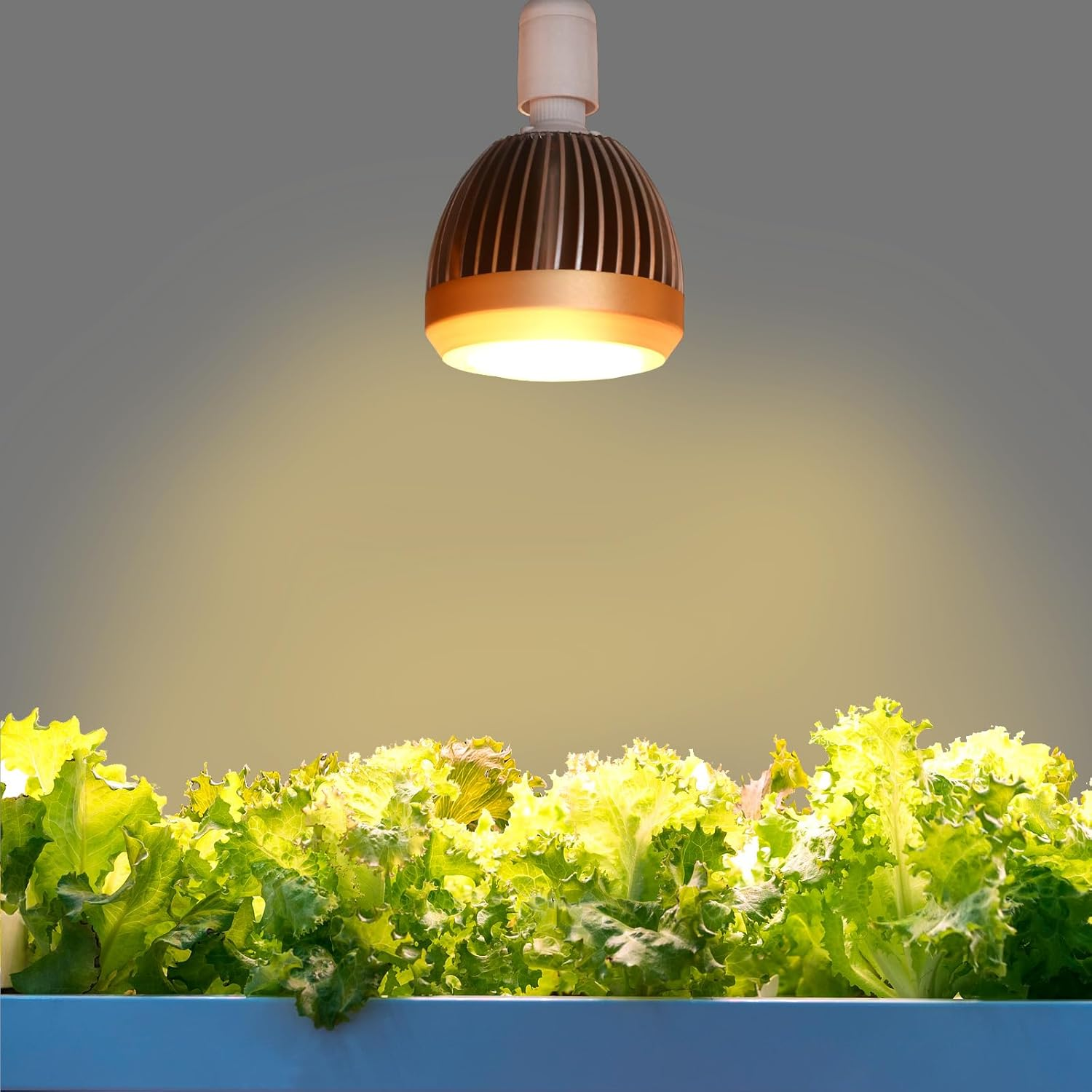 CANAGROW CG2400 LED Grow Light for Indoor Plants 4X4Ft Coverage with High Yield Diodes, Sunlike Full Spectrum Dimmable Growing Lamps for Hydroponic Indoor Seeding Veg Bloom Greenhouse(Black)