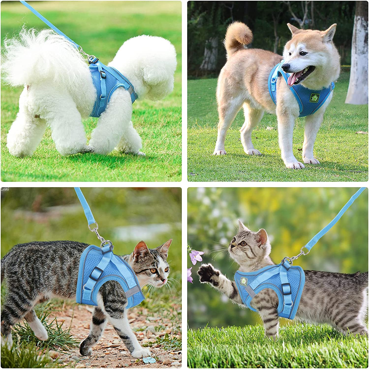 Harness Vest and Leash for Cat Dog: Escape Proof Collar Harness with Lead Set for Kitten Small Puppy, Adjustable Soft Harness with Reflective Strips for Walking