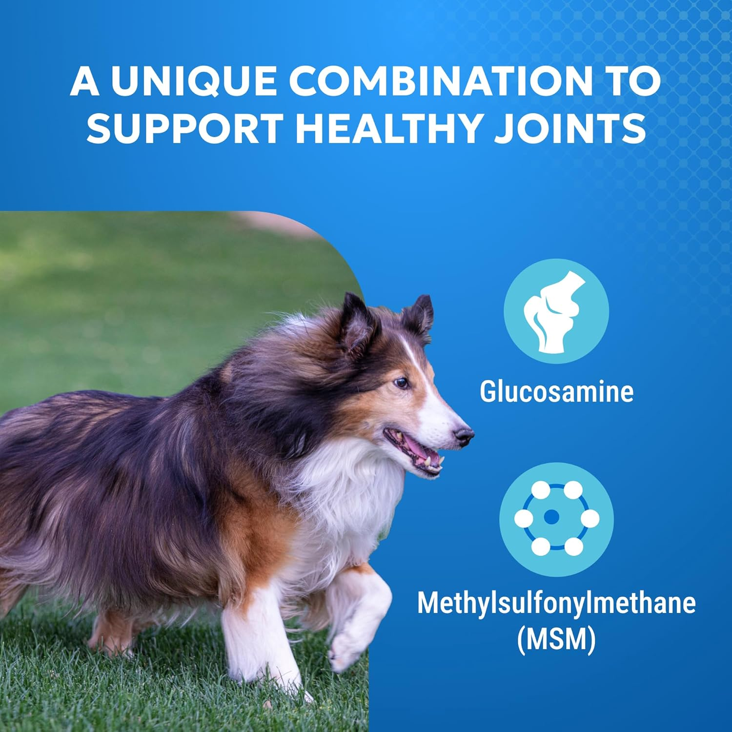 Nutramax Cosequin Standard Strength Joint Health Supplement for Dogs, with Glucosamine and MSM, 75 Chewable Tablets image number 5
