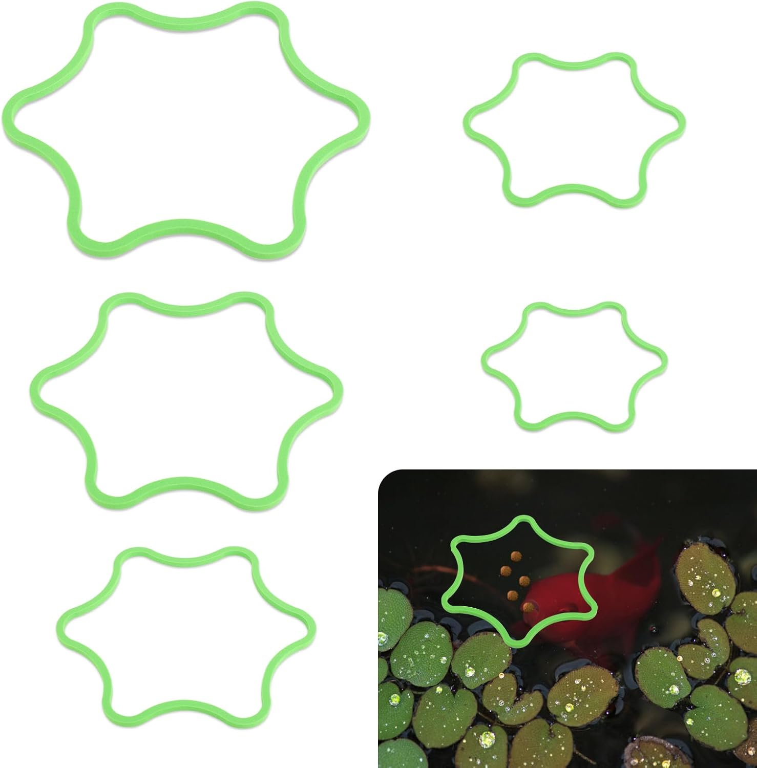 5Pcs Aquarium Floating Plant Rings, Foam Floating Plant Corral Flower Shaped Fish Feeding Rings Fish Tank Food Ring for Intercepting Floating Plants (Green)