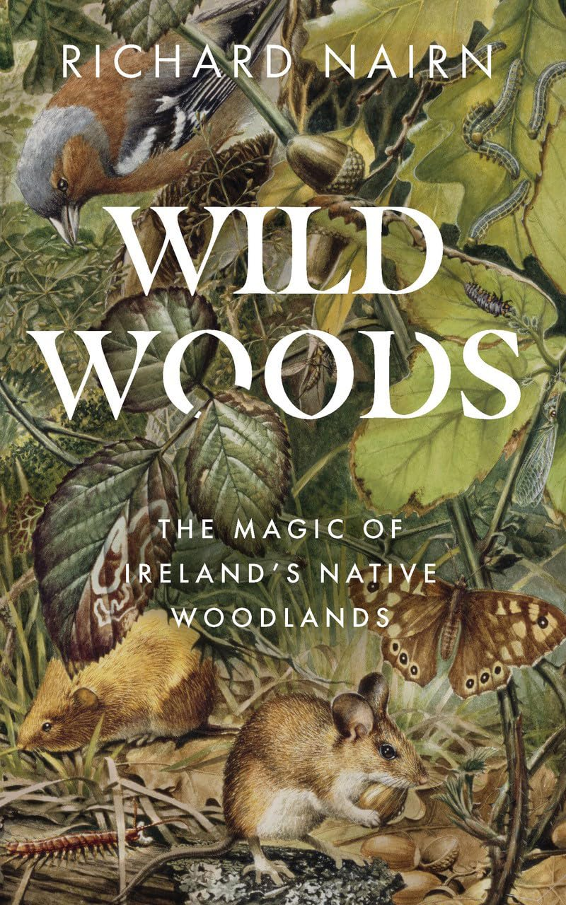 Wild Woods: the Magic of Ireland'S Native Woodlands