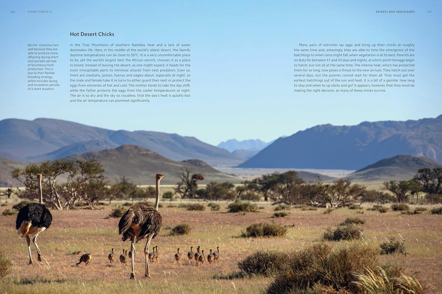 Planet Earth III: Accompanies the Landmark Series Narrated by David Attenborough image number 2