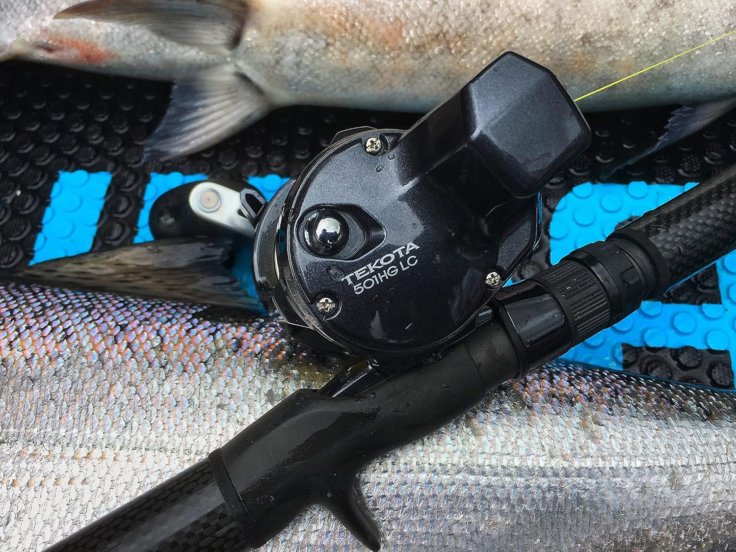 SHIMANO Tekota a 500/600 Conventional Reels image number 1