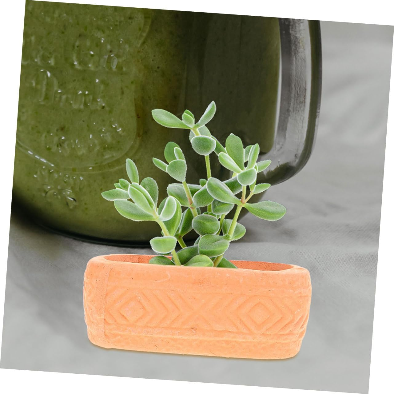 Mini Red Clay Ceramic Planter Pot with Drainage for Indoor Succulent Plants Nursery Grow Pot for Home Garden for Patio and Balcony Planting image number 5