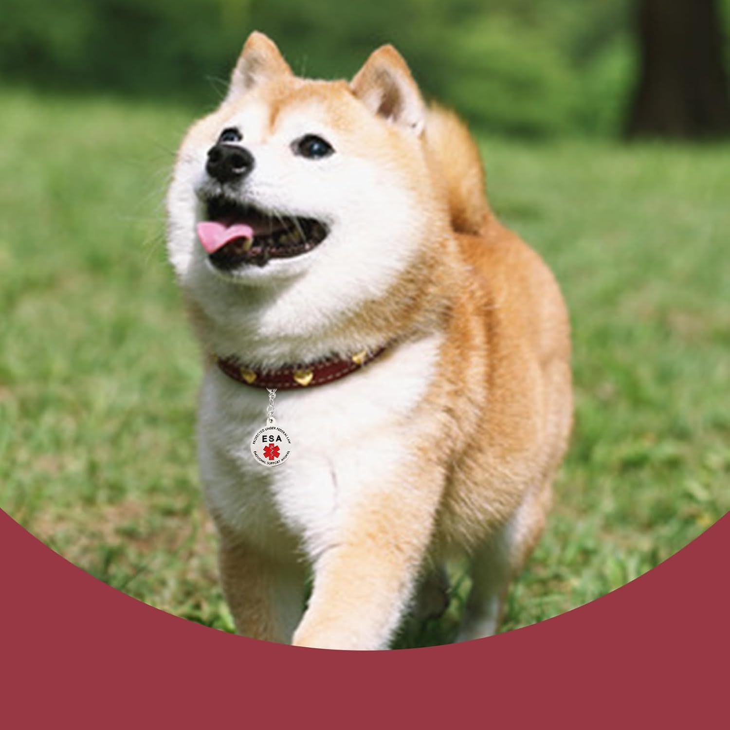 Emotional Support Dog ESA Dog Tag ID Industrial Puppy Emotional Support Dog Tag Red Medical Alert Symbol and Protected by Federal Law Navy Lettering and Red Enamel Trim for ESA and Therapy Dogs image number 5