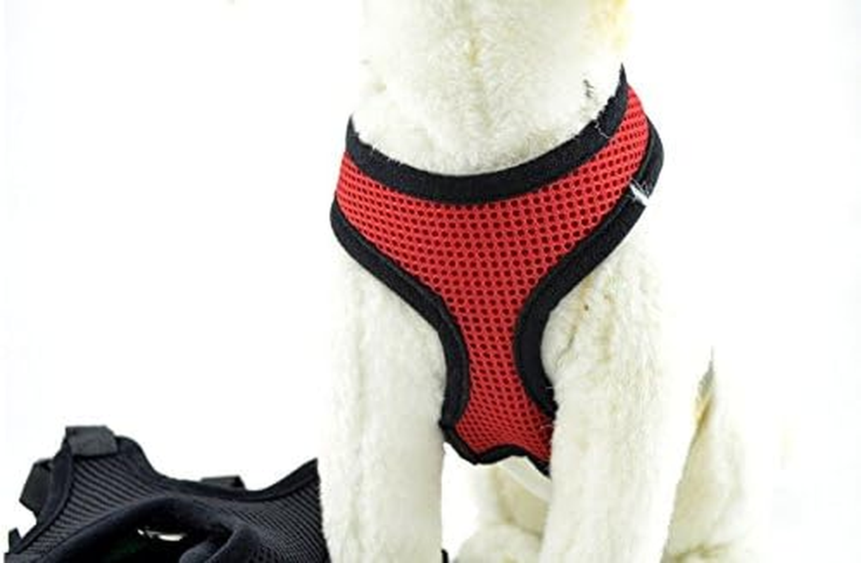 Extra Large Red Comfort Control Dog Harness (Red, S) image number 3