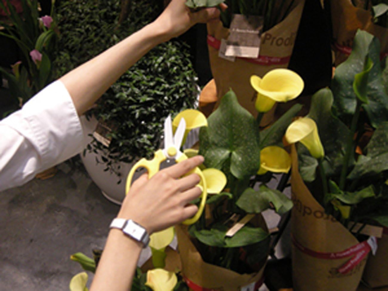 Flower Scissors Hand Creation F-170 Limited Color Yellow image number 1