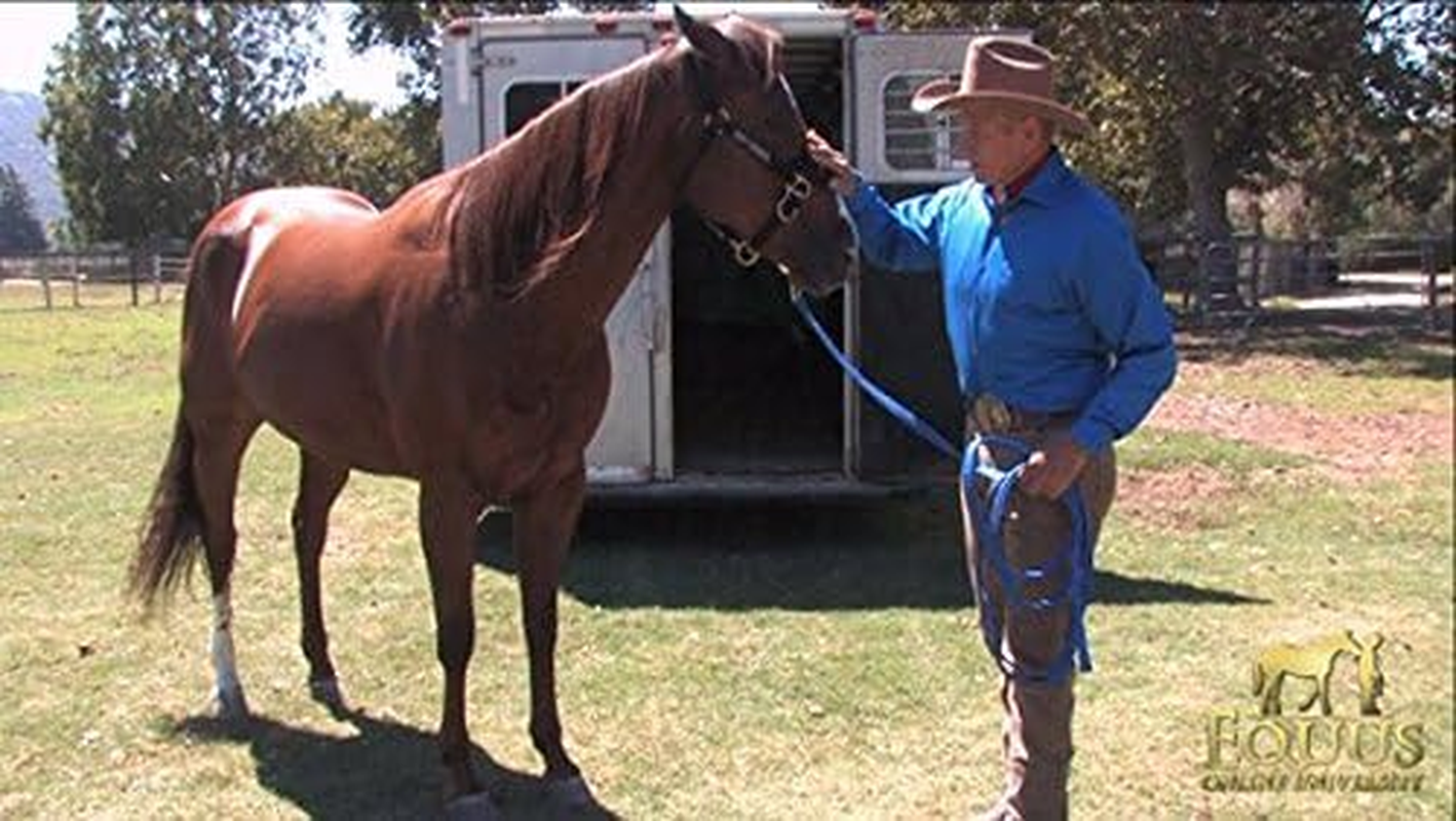 Monty Roberts Official Lead Line 5.2M image number 2