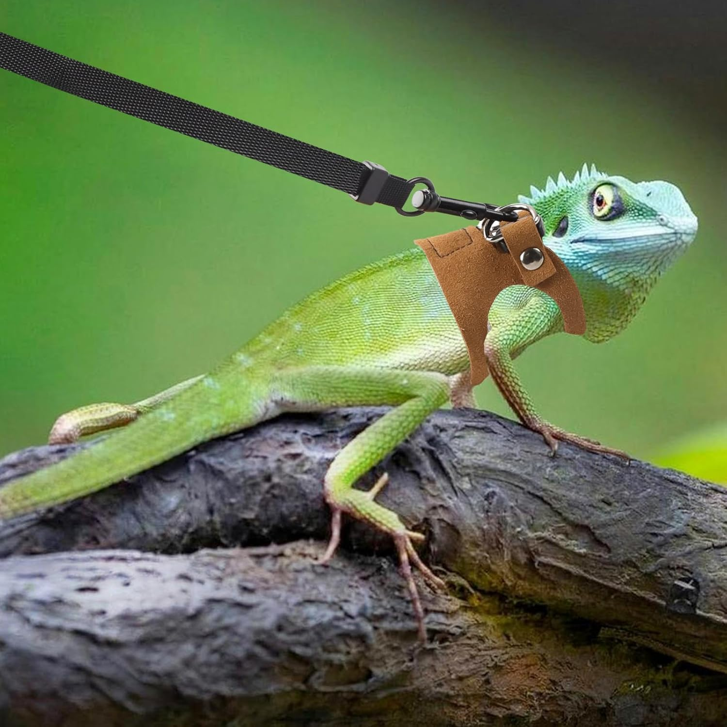 3 Size Lizard Traction Rope,Bearded Dragon Harness and Leash Set,Adjustable Harness Soft Leather Leash Lizard Reptile Traction Rope Walking Vest Accessories for Bearded Dragon,Iguana,Gecko (Brown) image number 4