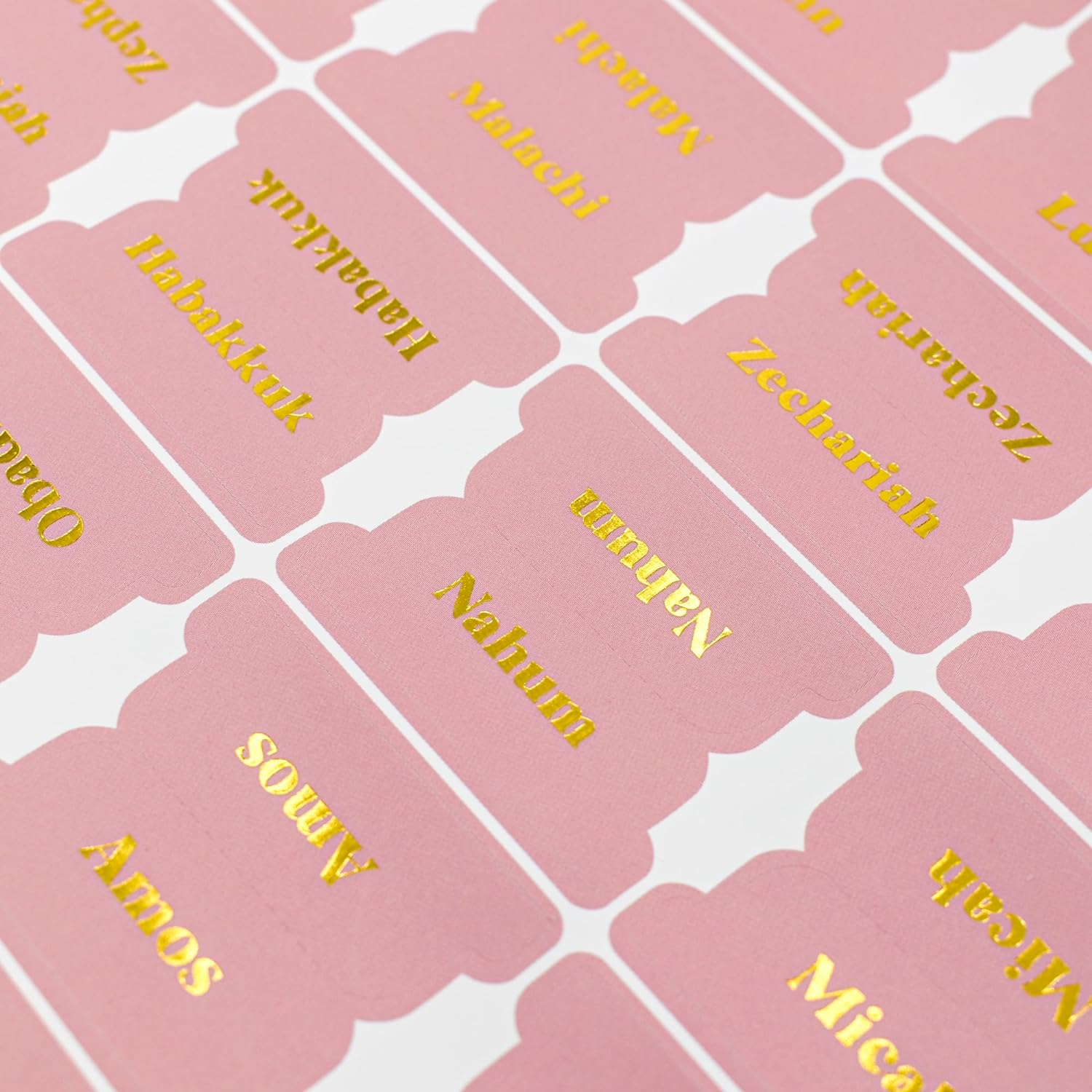 VANRA Bible Tabs for Women Study Bible Journaling Supplies Large Print, 96 Tabs Old and New Testament Studying with Blank Laminated Bible Tabs Pink (Gold Lettering) image number 2