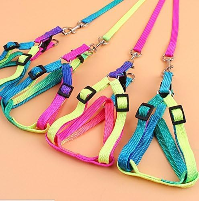 Pet Bird Harness and Leash with Buckle Adorable Rainbow Design Safe Parrot Leash Pet Harness Outdoor Adjustable anti Bite Training Rope for Macaw Large Size Bird (Color, 1.5 * 120CM) image number 4