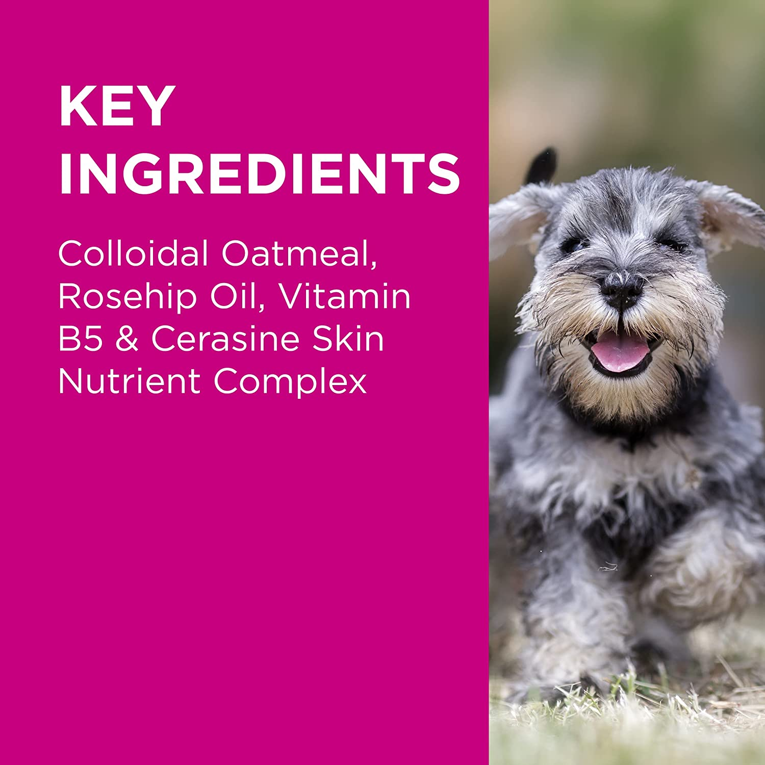 Nutriderm, Itchy Skin Duo Pack for Dogs and Cats, Helps to Cleanse, Soothe, & Moisturise Normal, Dry & Itchy Skin, 2X200Ml image number 2