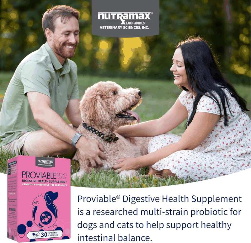Nutramax Proviable DC Capsules for Cats and Dogs, 30 Count image number 6