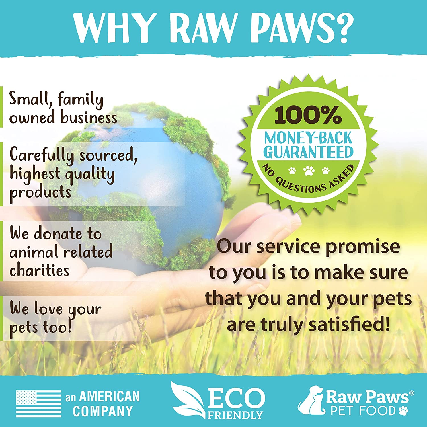 Raw Paws Silvervine for Cats, 75 Grams - 2X More Attractive than Catnip for Cats - 100% Silver Vine Gall Fruit Powder - Matatabi Silvervine Cat Toy for Indoor Cats Kitten Toys, Cat Nip Cat Alternative