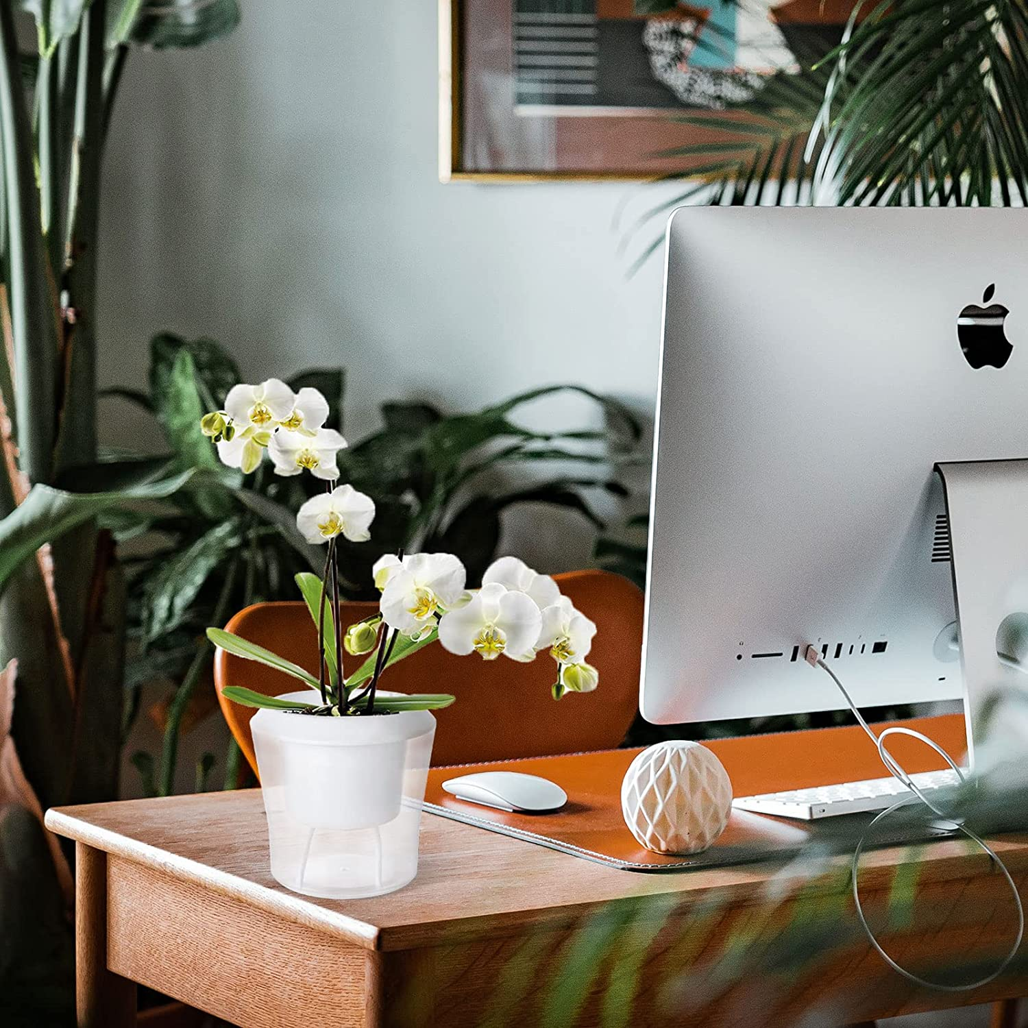 12 Pack Self Watering Pots for Indoor Plants 4.3 Inch Small Self-Watering Planter Pots with Water Level Indicator, Clear Plastic round Plant Pots for Succulent, Flowers, Herbs for Office Home Decor