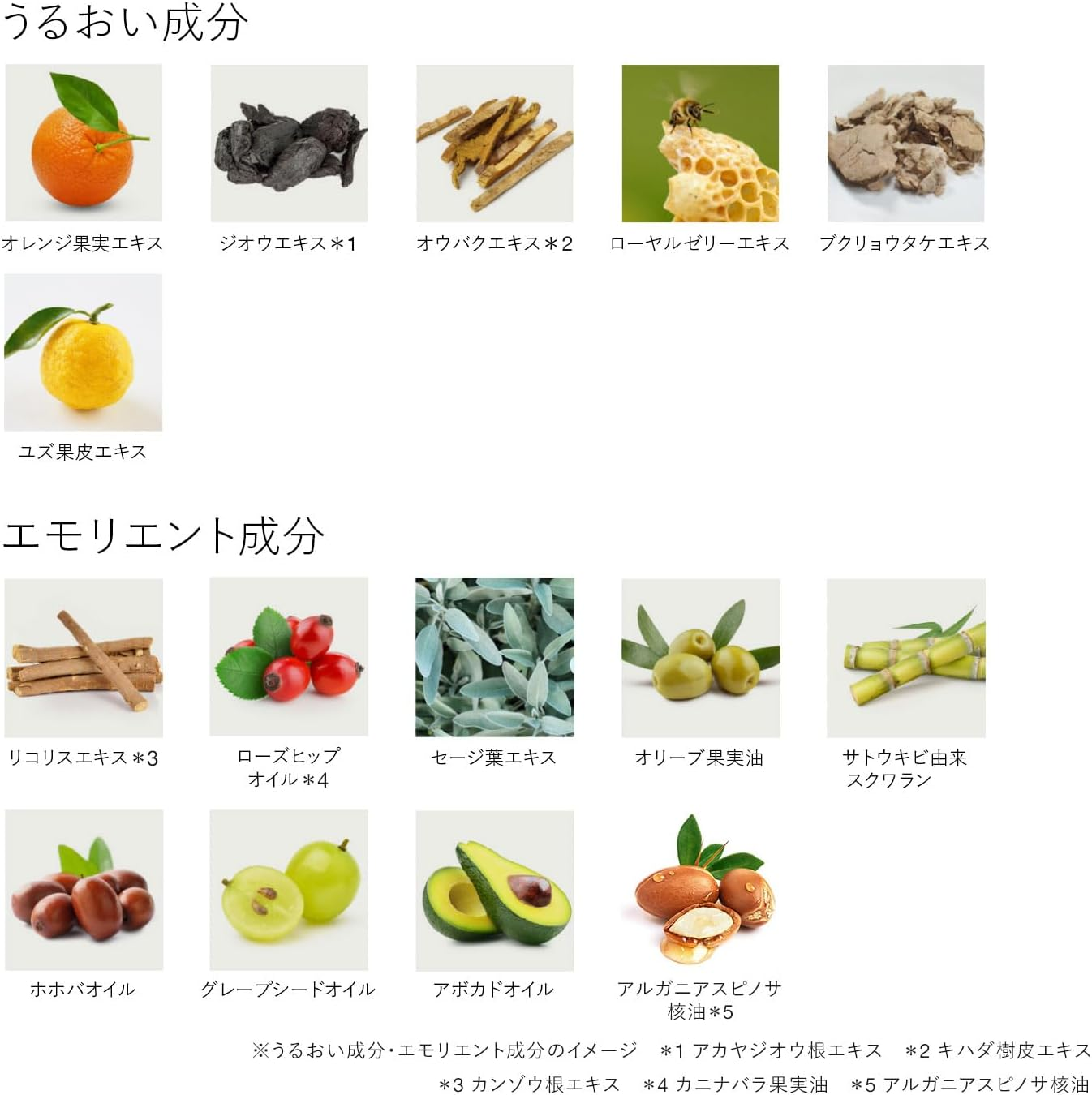 RMK W Treatment Oil 50Ml/1.7Oz