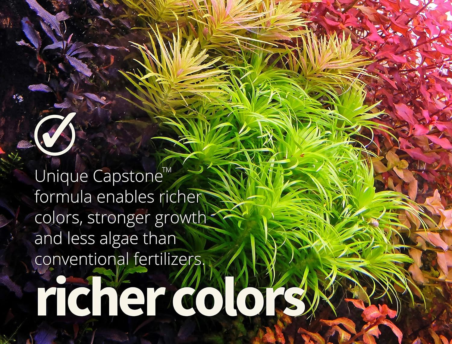 The 2HR Aquarist APT E/Estimative Index in a Bottle for Planted Aquariums (500Ml) image number 5