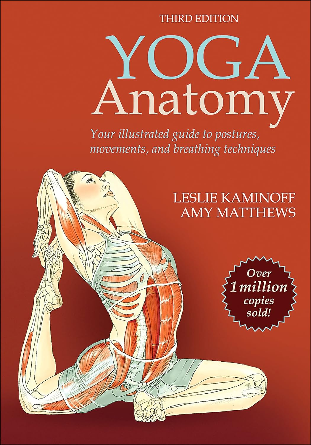Yoga Anatomy image number 3