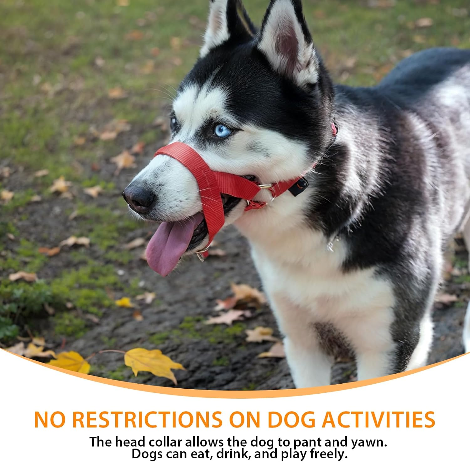 BARKLESS Soft Dog Head Collar, No Pull Training Tool for Small Dogs on Walks, Gentle Halter for Heavy Pullers, Includes a Training Guide image number 6