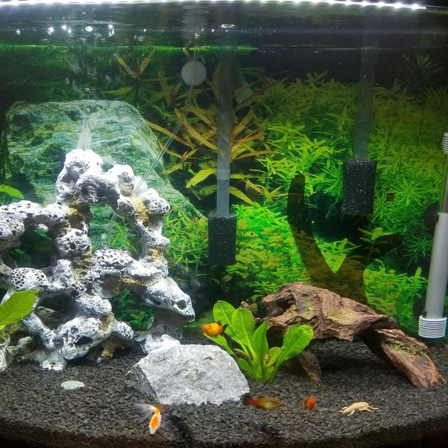 Pre-Filter Sponge 4 Pack Aquarium Pre Filter Foam Rolls Compatible Filter Roll Aquarium Intake Filter Media Sponge Compatible Filter Accessories for Fish Tank Aquarium Shrimp 10Mm 22Mm image number 3